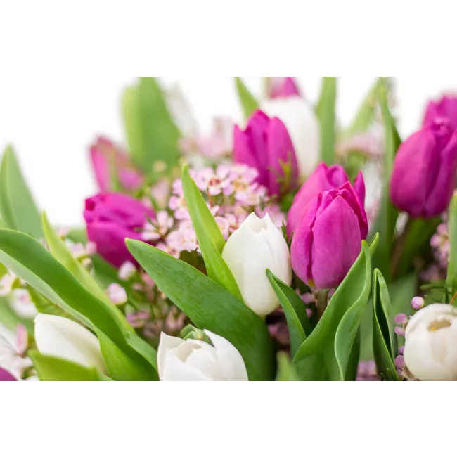 Bouquet of tulips